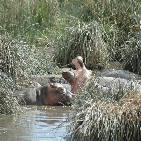 Motorradreisen Afrika Erholung Fahrradtour Safari